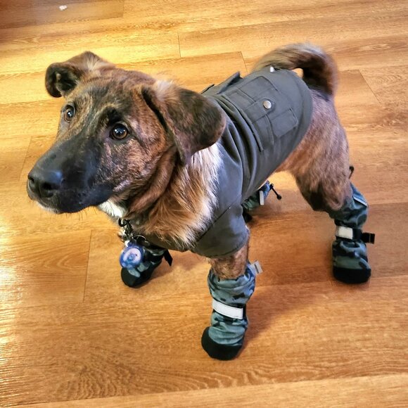 Unopened Canada Pooch Parka - Picture 6 of 7